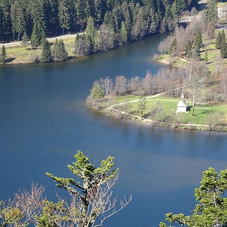 Chalet La Petite Perle Gérardmer Екстериор снимка