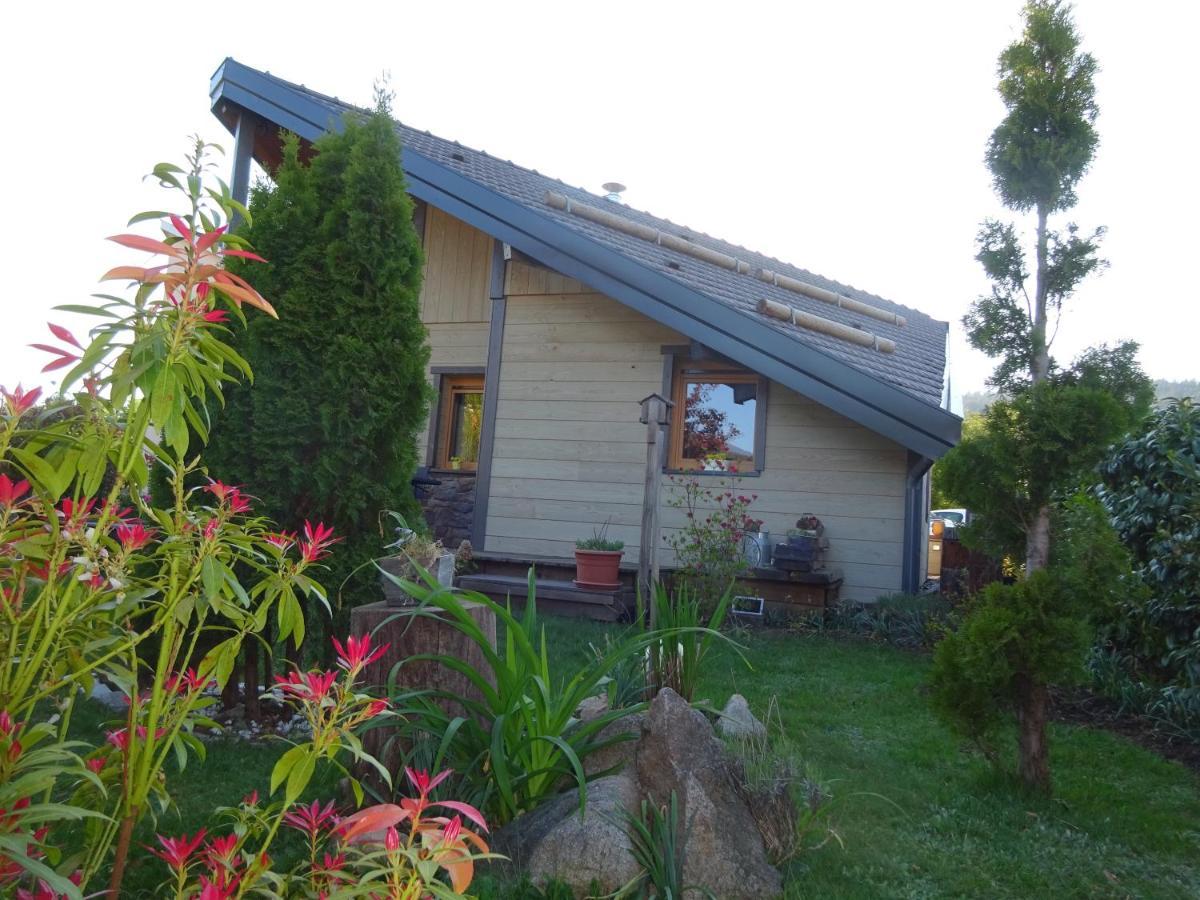 Chalet La Petite Perle Gérardmer Екстериор снимка