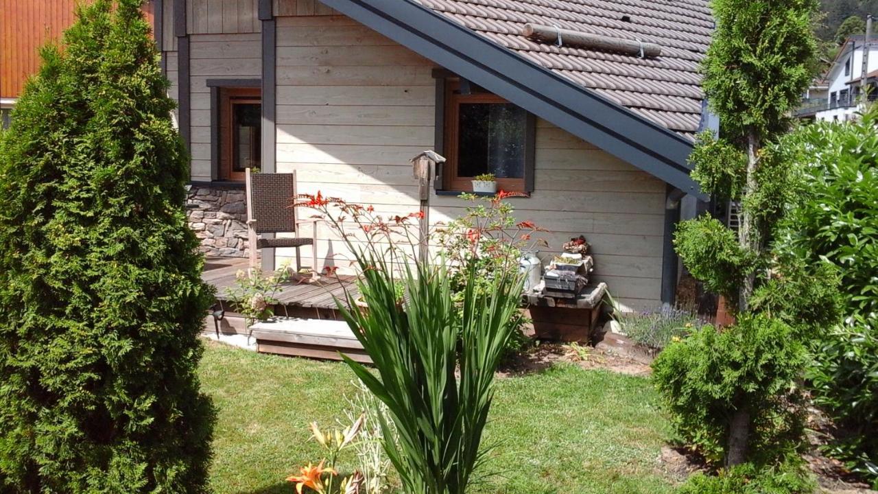 Chalet La Petite Perle Gérardmer Екстериор снимка