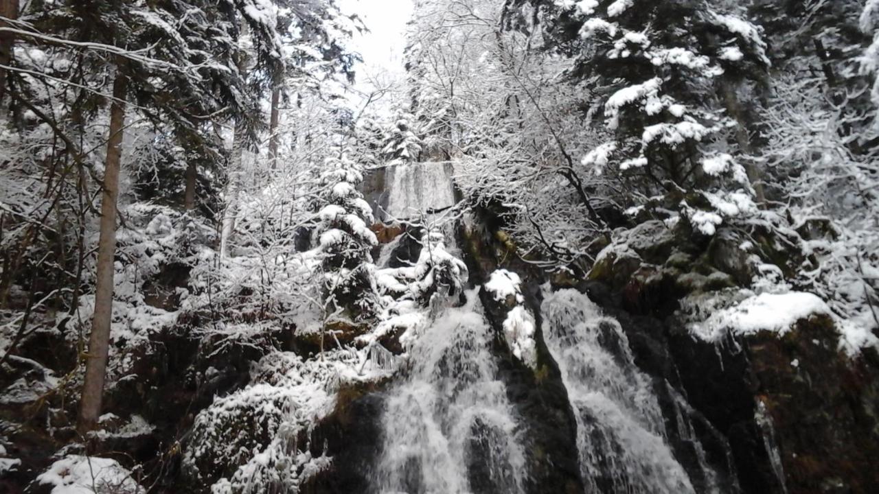 Chalet La Petite Perle Gérardmer Екстериор снимка