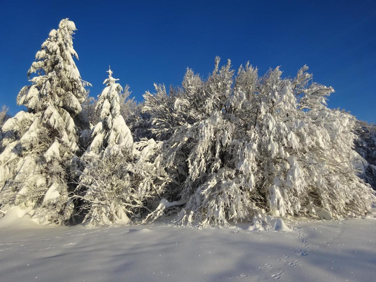 Chalet La Petite Perle Gérardmer Екстериор снимка