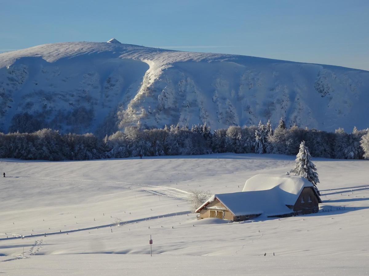 Chalet La Petite Perle Gérardmer Екстериор снимка