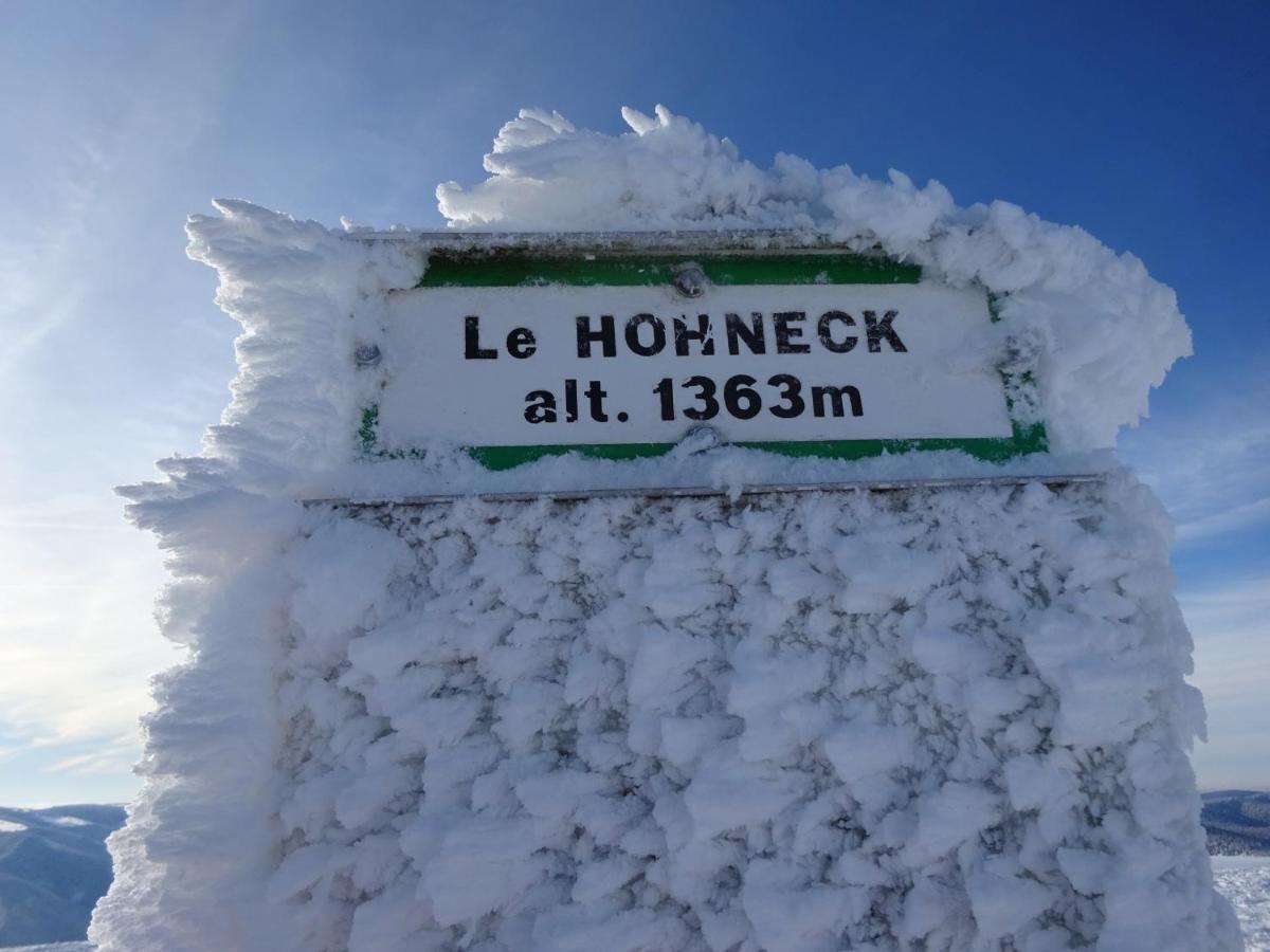 Chalet La Petite Perle Gérardmer Екстериор снимка
