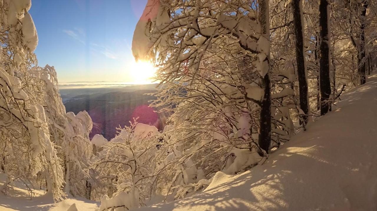 Chalet La Petite Perle Gérardmer Екстериор снимка