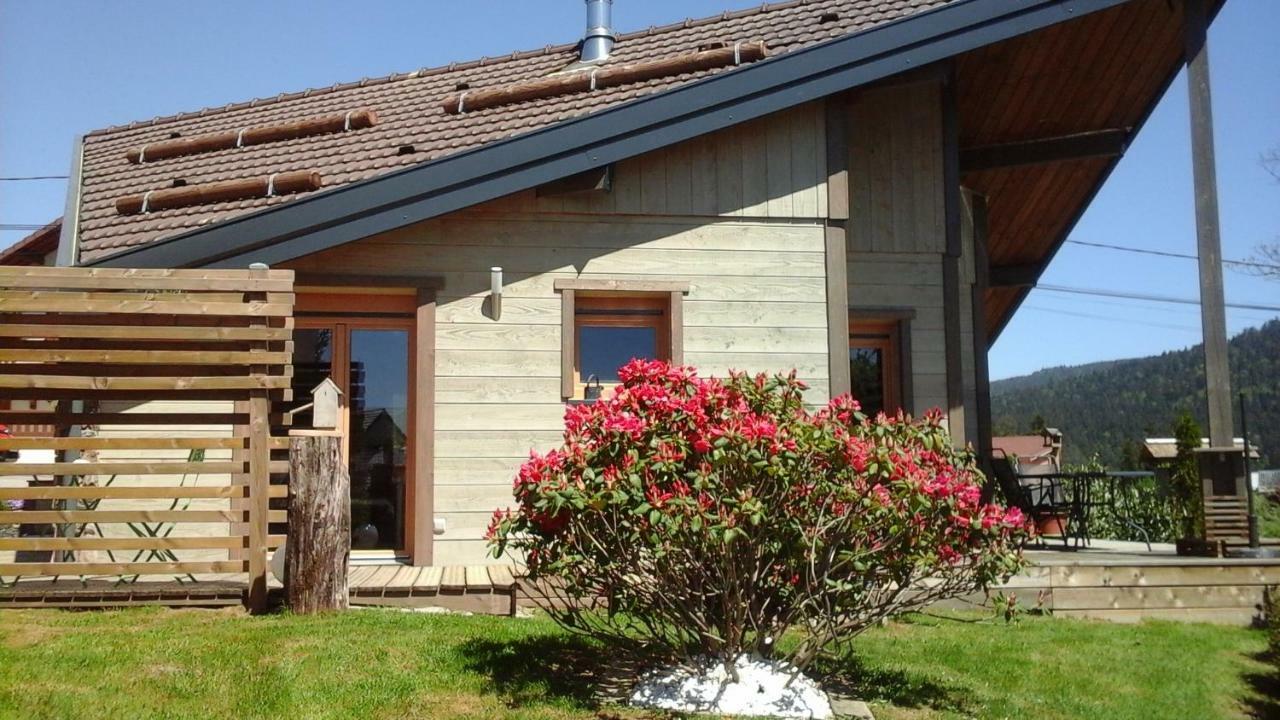 Chalet La Petite Perle Gérardmer Екстериор снимка
