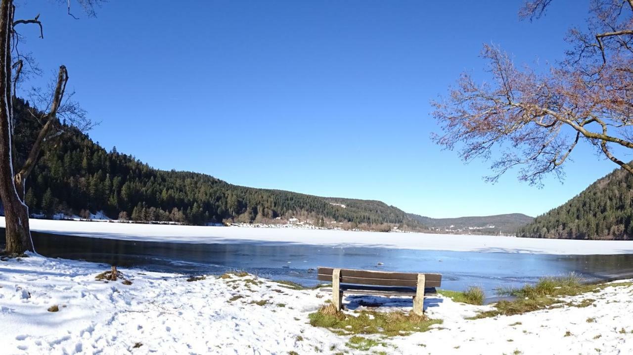 Chalet La Petite Perle Gérardmer Екстериор снимка