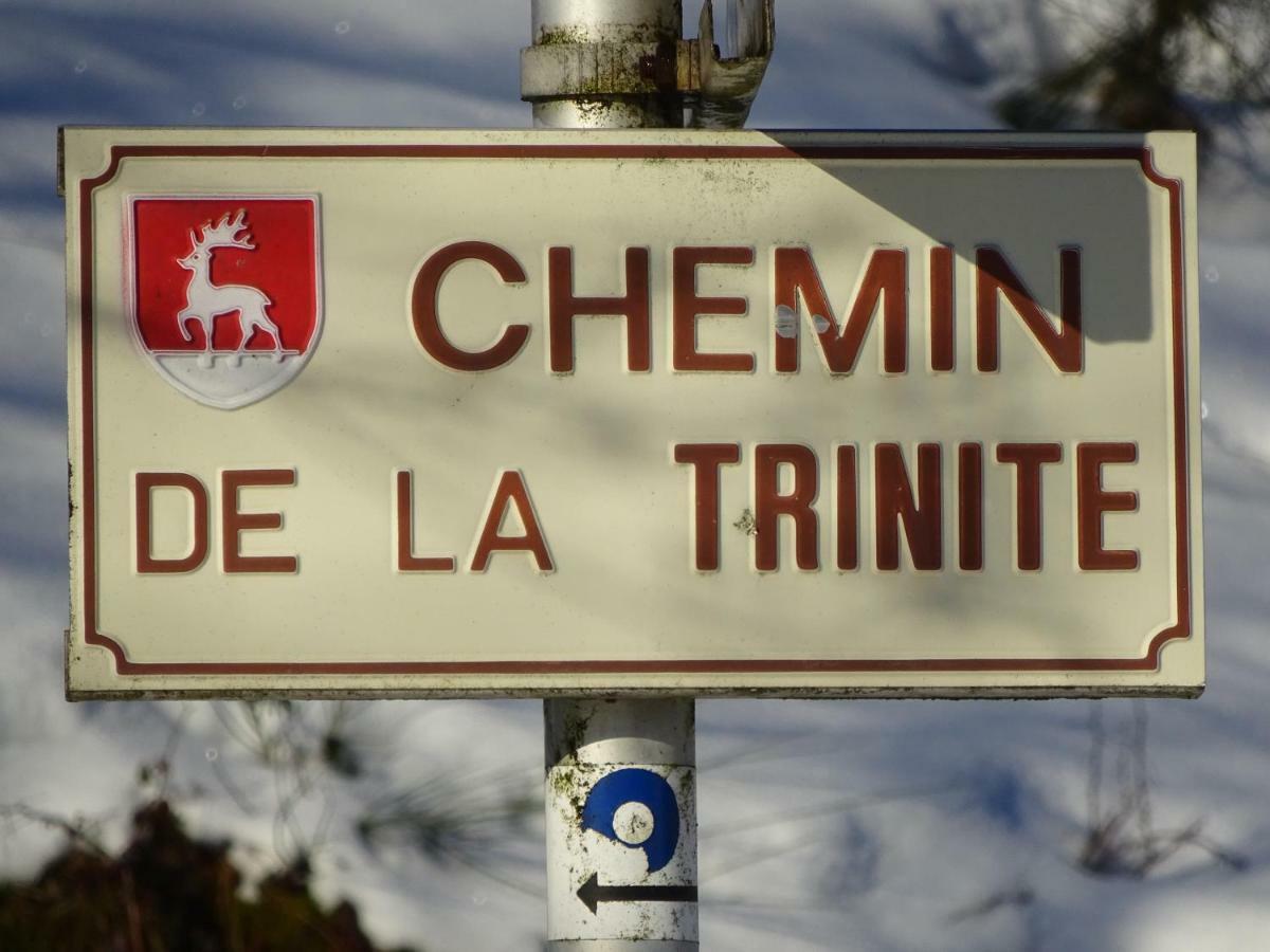 Chalet La Petite Perle Gérardmer Екстериор снимка